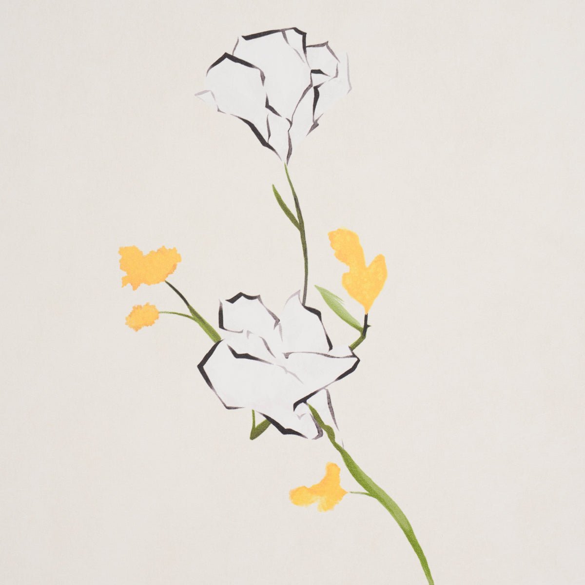 Schumacher · Alex's Floral Wallpaper | socius design in Rochester, MN