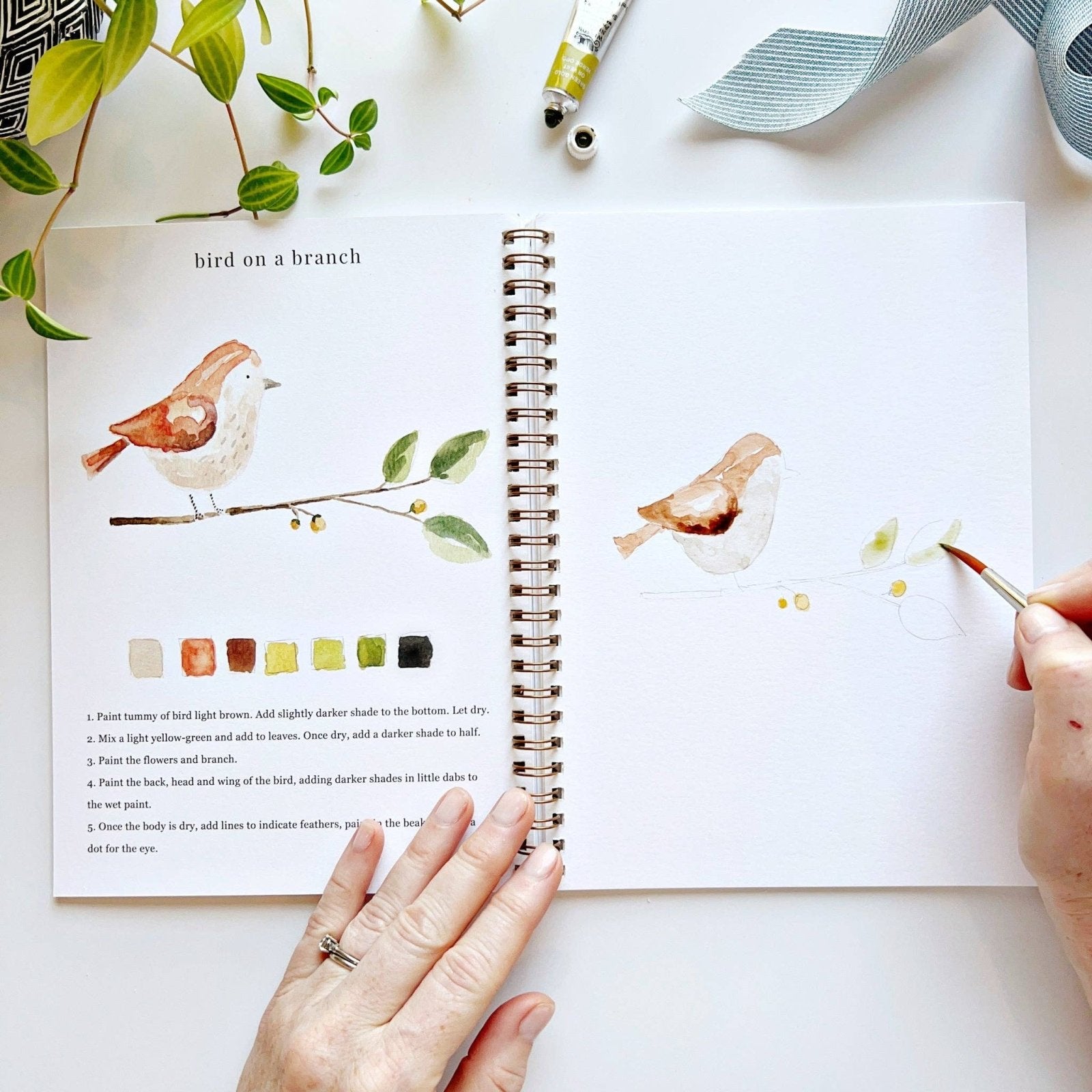 emily lex studio · Animals Watercolor Workbook · Emily Lex Studio | socius design in Rochester, MN