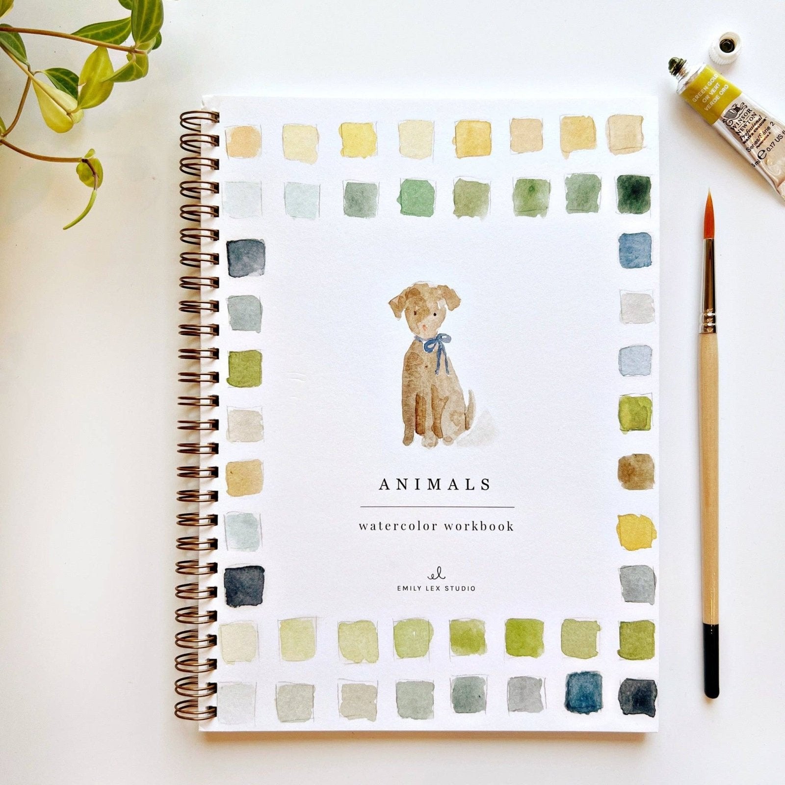 emily lex studio · Animals Watercolor Workbook · Emily Lex Studio | socius design in Rochester, MN