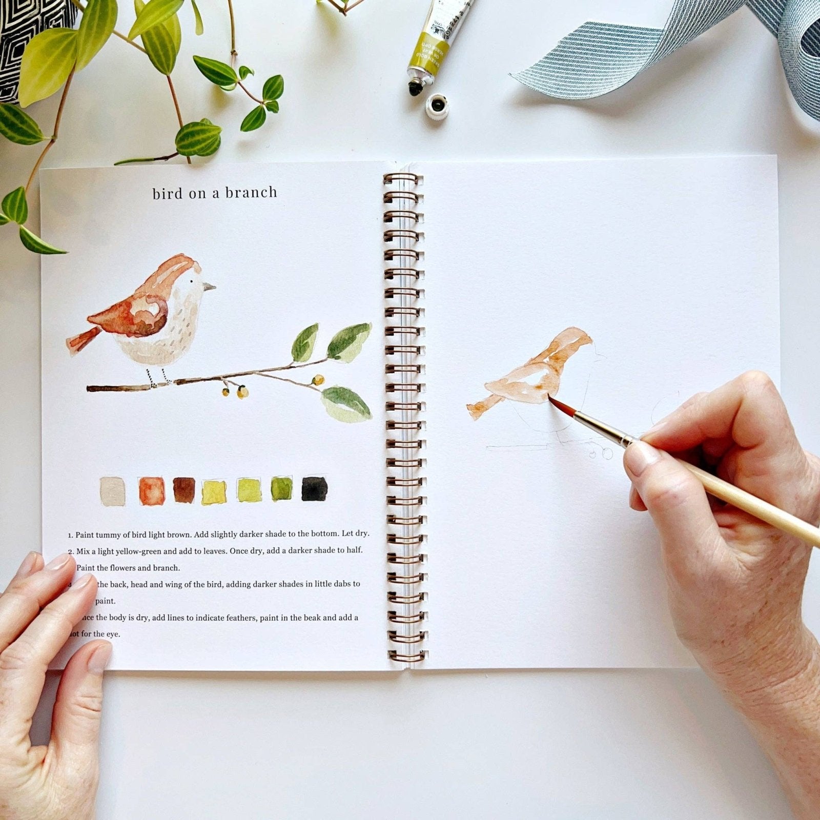 emily lex studio · Animals Watercolor Workbook · Emily Lex Studio | socius design in Rochester, MN