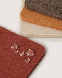 Graf Lantz · Bierfilzl Merino Wool Square Coaster 4 - Pack · Mesa | socius design in Rochester, MN