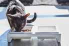 Yamazaki Home · Ceramic Pet Food Bowl | socius design in Rochester, MN