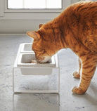 Yamazaki Home · Ceramic Pet Food Bowl | socius design in Rochester, MN