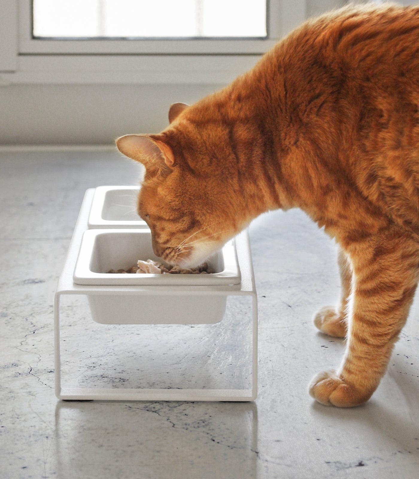 Yamazaki Home · Ceramic Pet Food Bowl | socius design in Rochester, MN