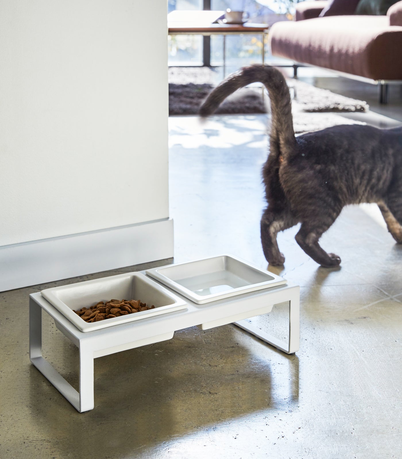 Yamazaki Home · Ceramic Pet Food Bowl | socius design in Rochester, MN