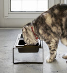 Yamazaki Home · Ceramic Pet Food Bowl | socius design in Rochester, MN