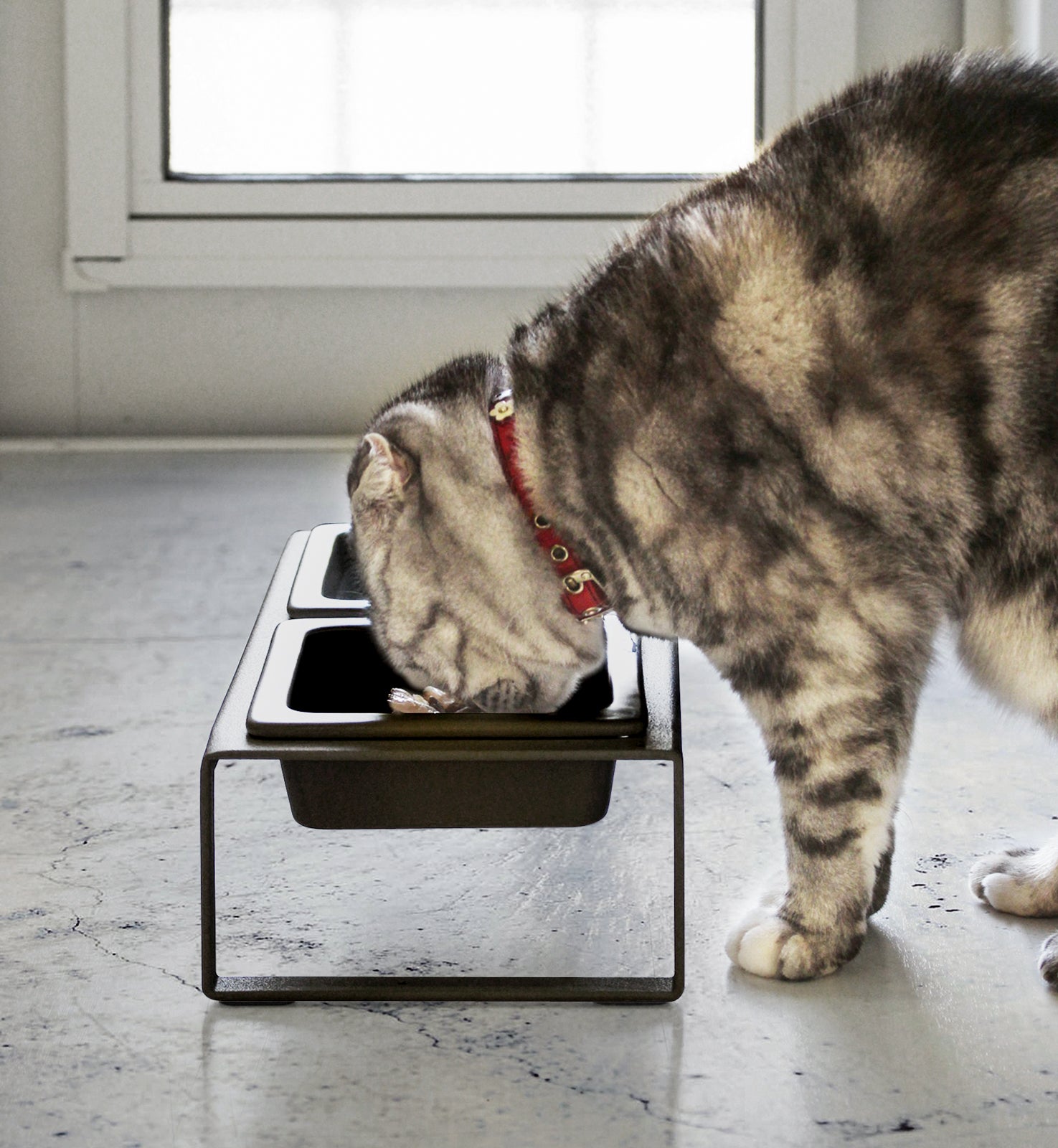 Yamazaki Home · Ceramic Pet Food Bowl | socius design in Rochester, MN
