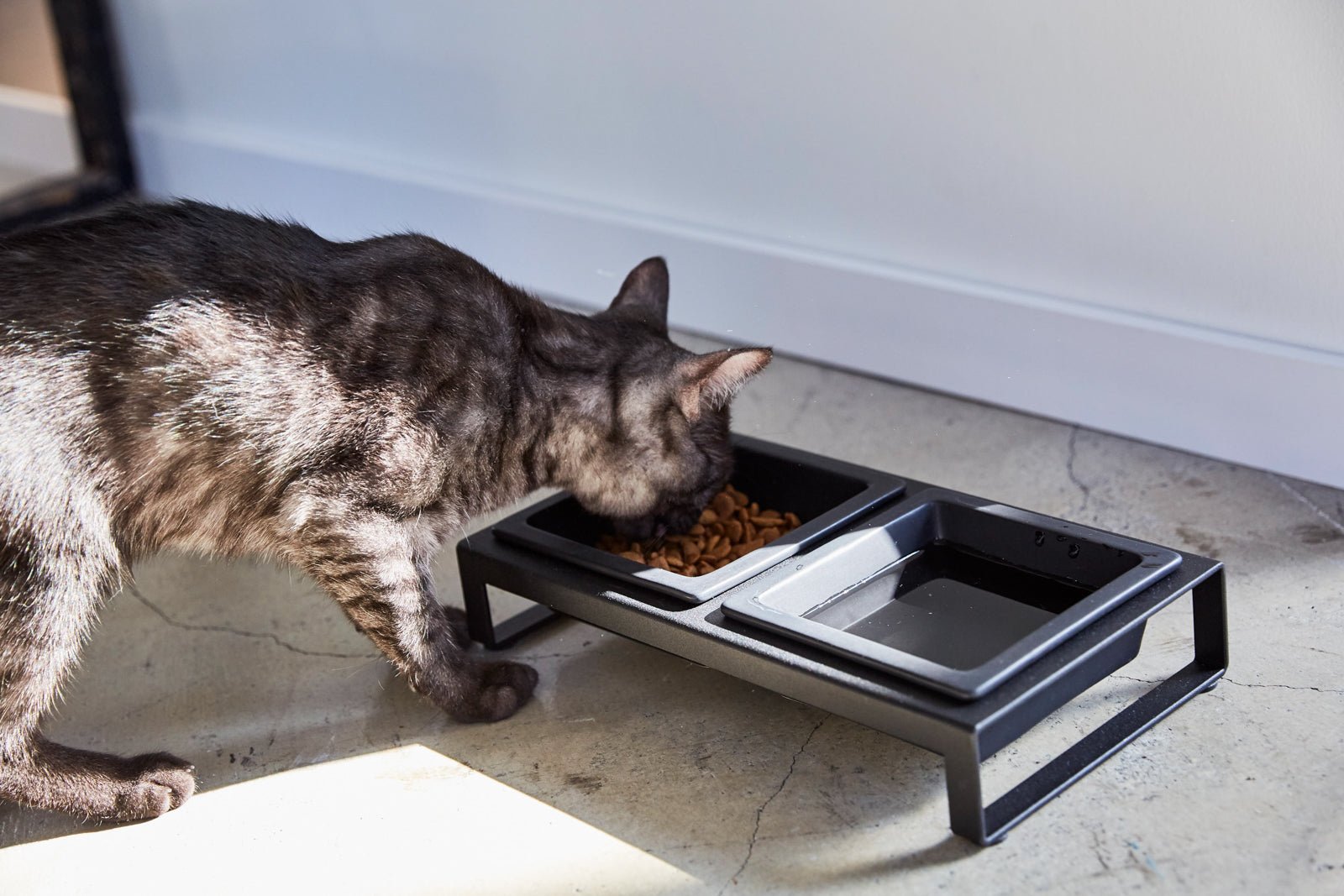 Yamazaki Home · Ceramic Pet Food Bowl | socius design in Rochester, MN