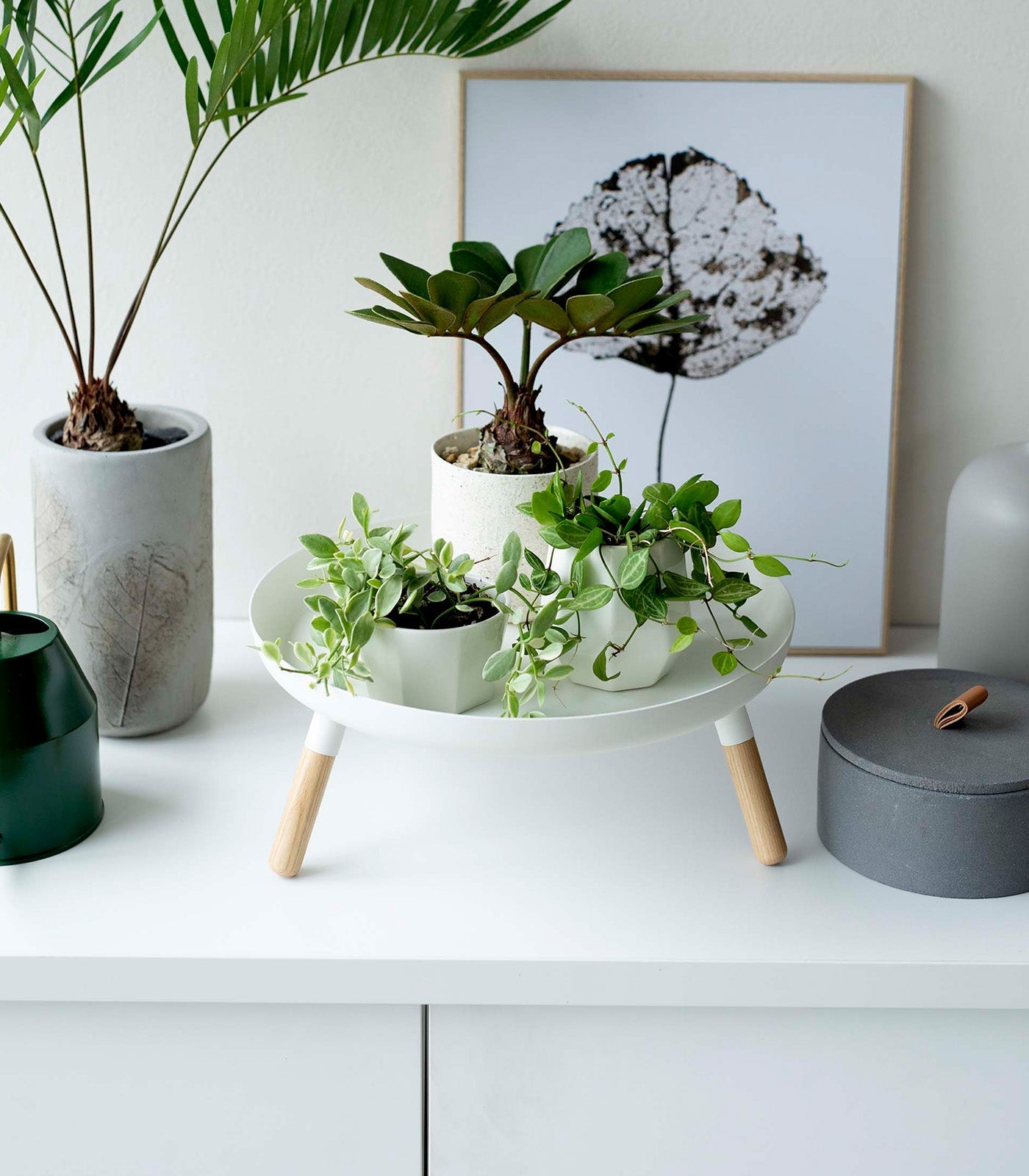 Yamazaki Home · Countertop Pedestal Tray (5" H) · Steel + Wood | socius design in Rochester, MN