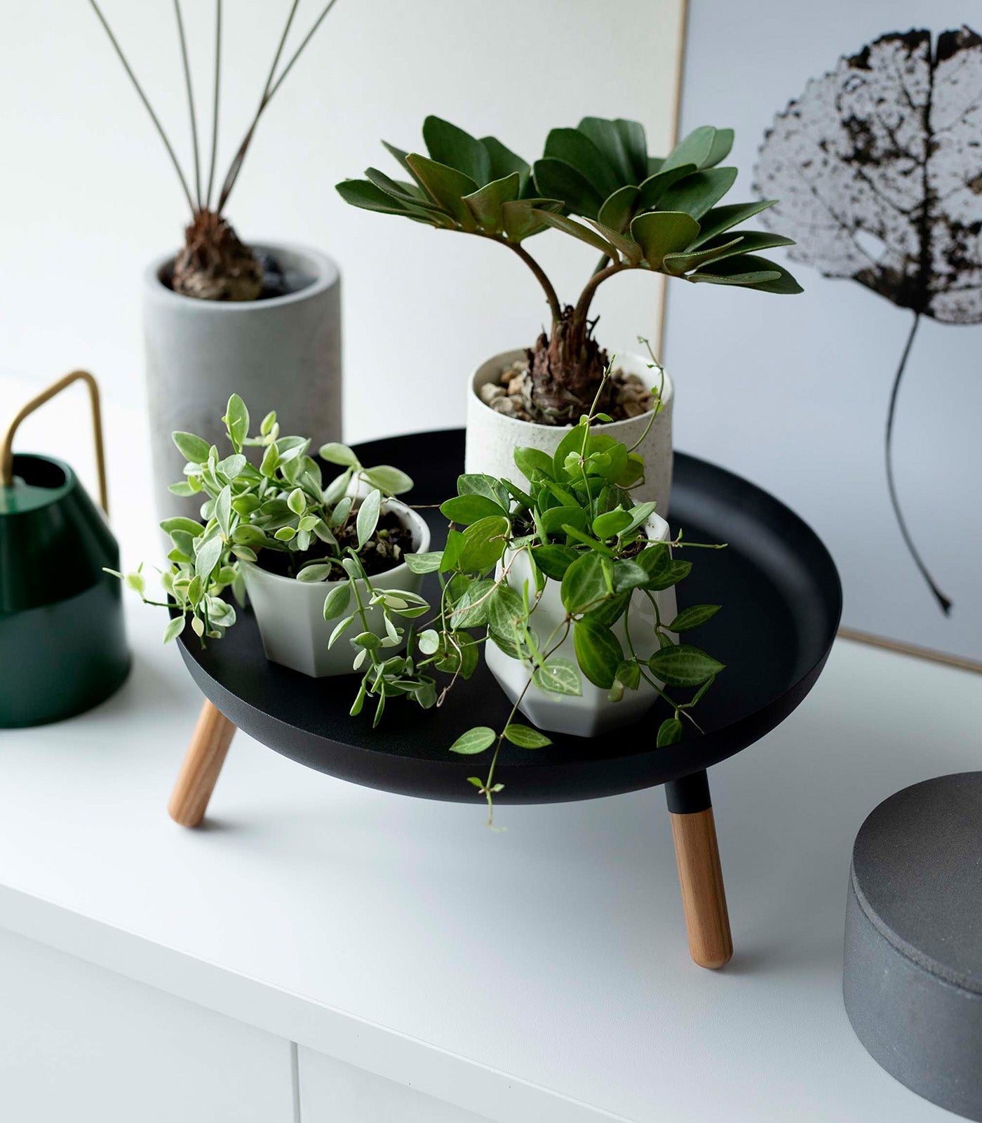 Yamazaki Home · Countertop Pedestal Tray (5" H) · Steel + Wood | socius design in Rochester, MN