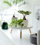 Yamazaki Home · Countertop Pedestal Tray (5" H) · Steel + Wood | socius design in Rochester, MN
