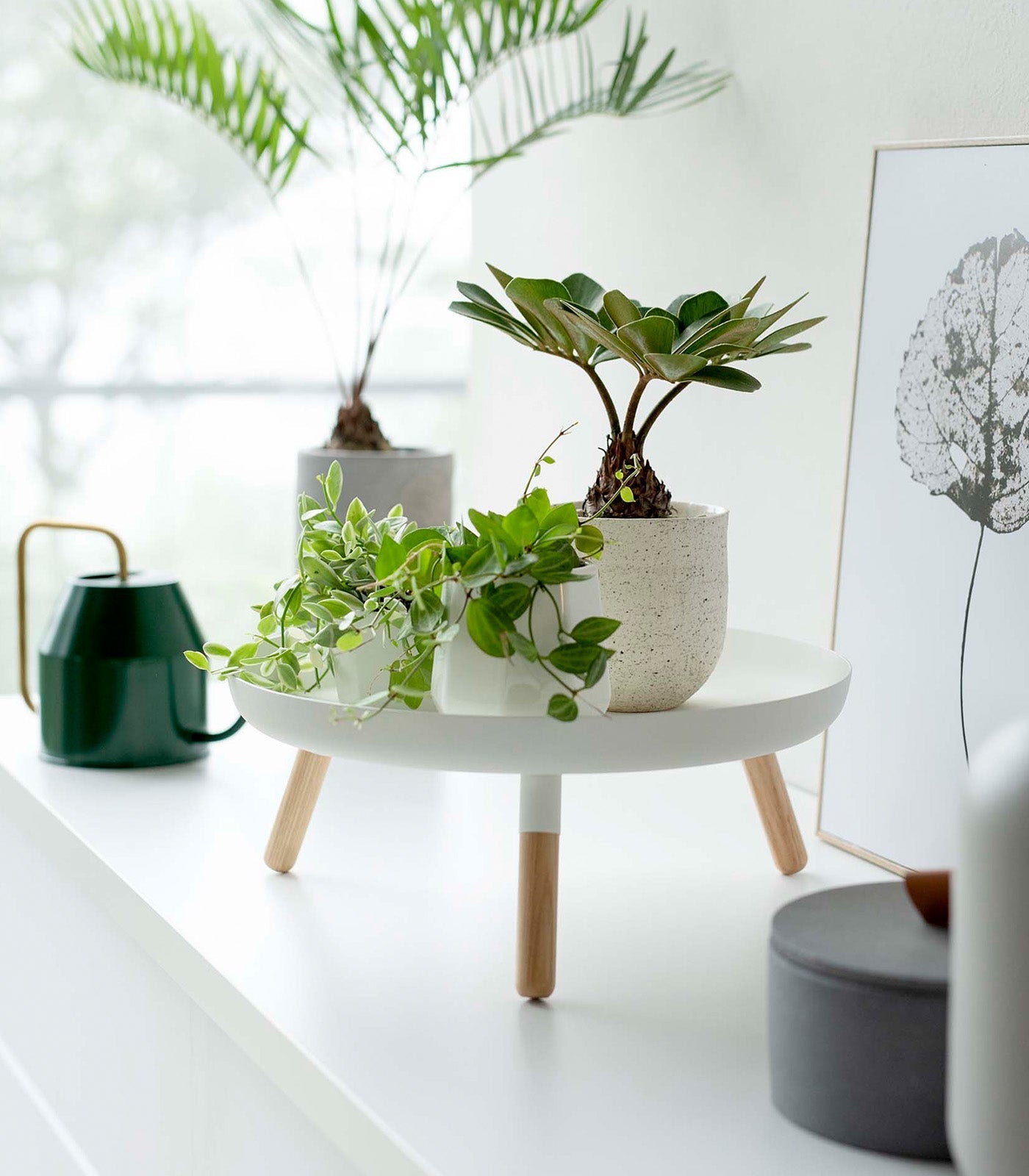 Yamazaki Home · Countertop Pedestal Tray (5" H) · Steel + Wood | socius design in Rochester, MN