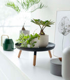 Yamazaki Home · Countertop Pedestal Tray (5" H) · Steel + Wood | socius design in Rochester, MN
