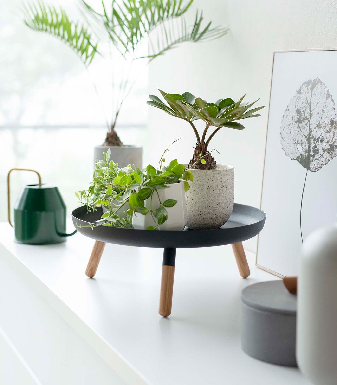 Yamazaki Home · Countertop Pedestal Tray (5" H) · Steel + Wood | socius design in Rochester, MN