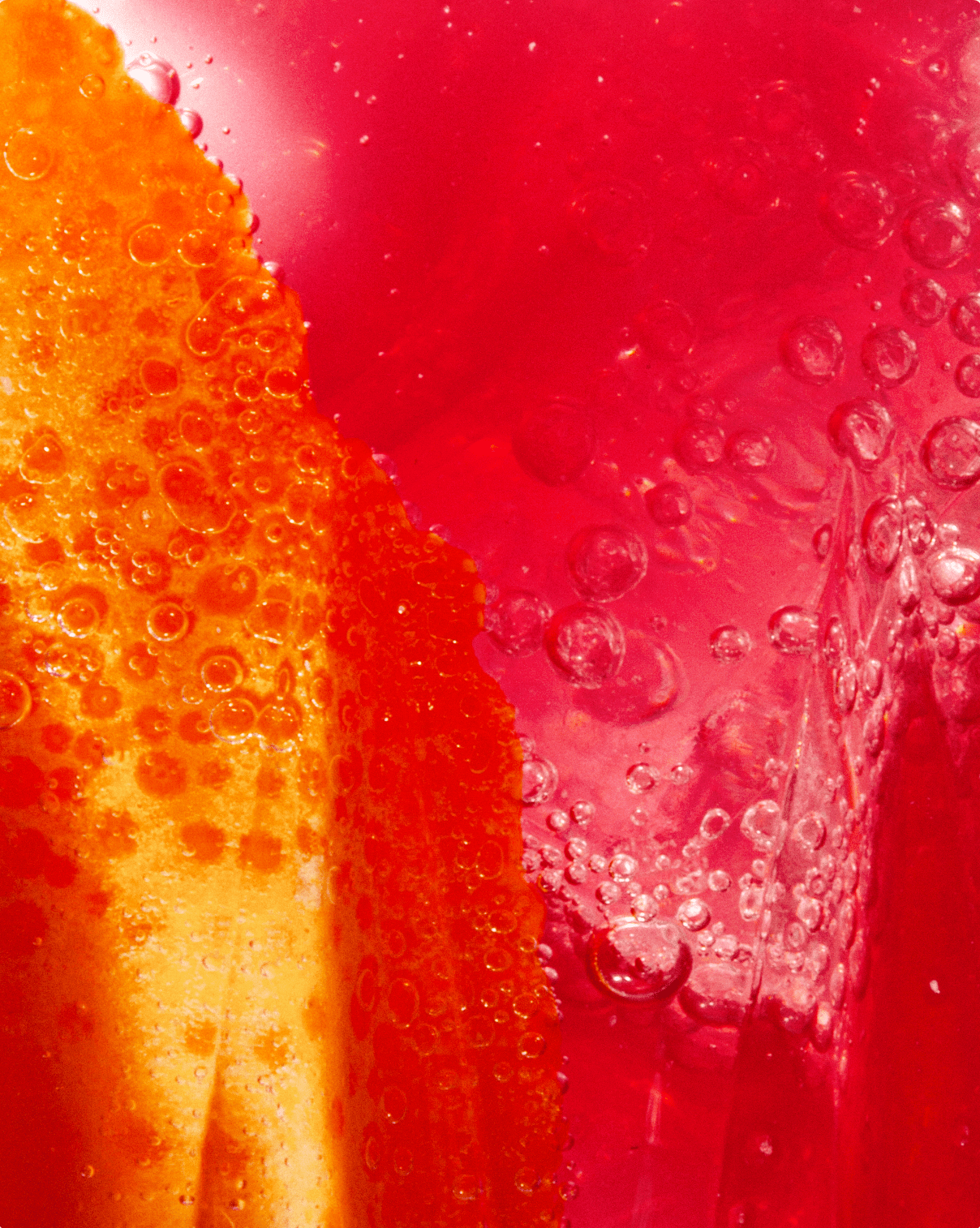 Figlia · Figlia: Fiore Frizzante Non - Alcoholic Spritz | socius design in Rochester, MN