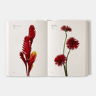 Phaidon · Flower Color Guide | socius design in Rochester, MN