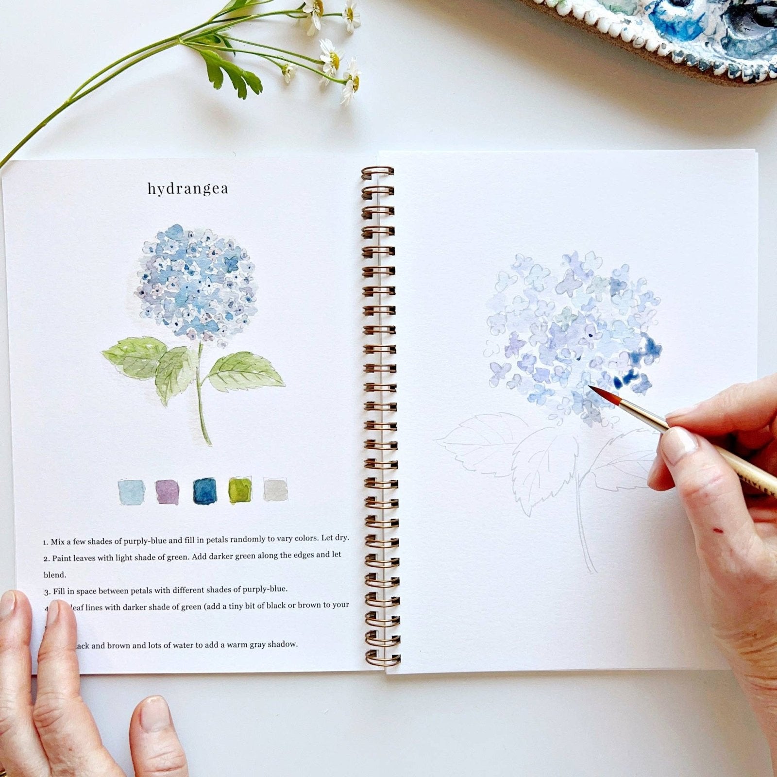 emily lex studio · Flowers Watercolor Workbook · Emily Lex Studio | socius design in Rochester, MN