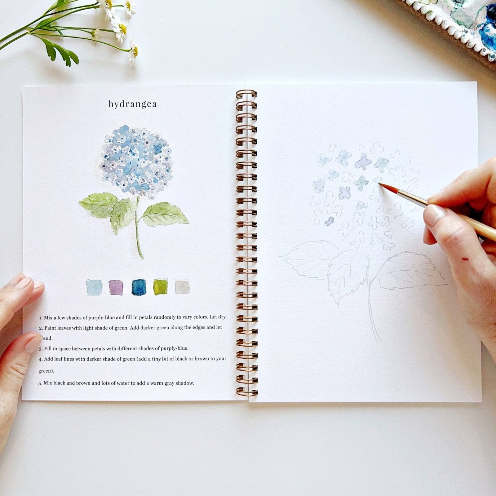 emily lex studio · Flowers Watercolor Workbook · Emily Lex Studio | socius design in Rochester, MN