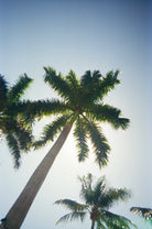 Fotofoto · Fotofoto FF - 1 Sustainable Disposable Camera | socius design in Rochester, MN