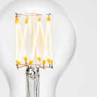 Tala US · Globe E26 LED Bulb in Clear | socius design in Rochester, MN