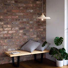 Tala US · Globe E26 LED Bulb in Clear | socius design in Rochester, MN