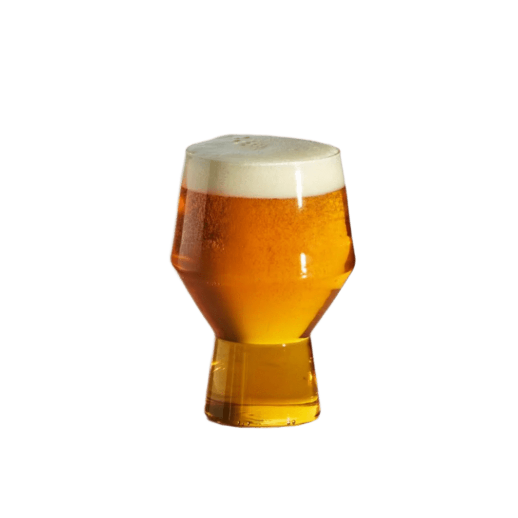 Aaron Probyn US · Juniper Beer Glass • Set of 2 | socius design in Rochester, MN