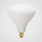 Tala US · Noma E26 LED Bulb | socius design in Rochester, MN