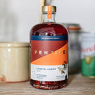 Pentire Drinks Inc. · Pentire Coastal Spritz 70cl · Non - Alcoholic Aperitif | socius design in Rochester, MN