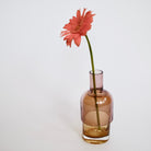 Cloudnola · Pink and Amber Blown Glass Flip Vase | socius design in Rochester, MN