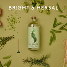 Seedlip · Seedlip Garden 108 · Non - Alcoholic Spirits | socius design in Rochester, MN