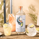 Seedlip · Seedlip Notas De Agave · Non - alcoholic Spirits | socius design in Rochester, MN