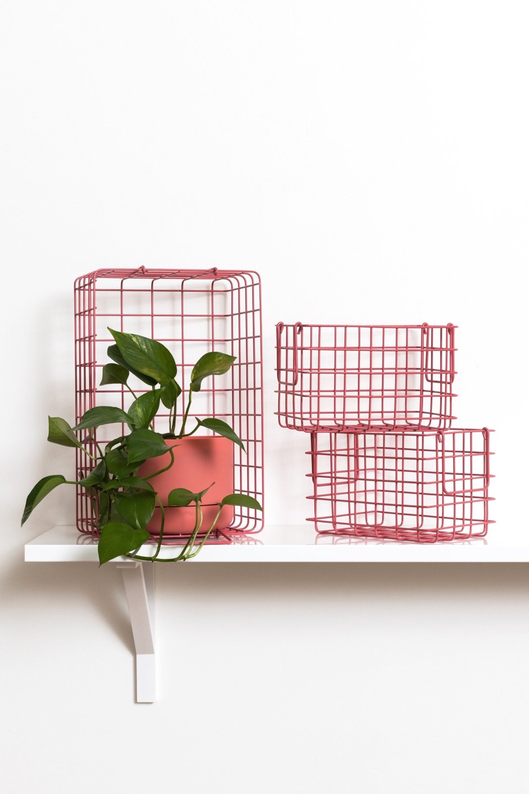 Mustard Made · The Baskets in Berry | socius design in Rochester, MN