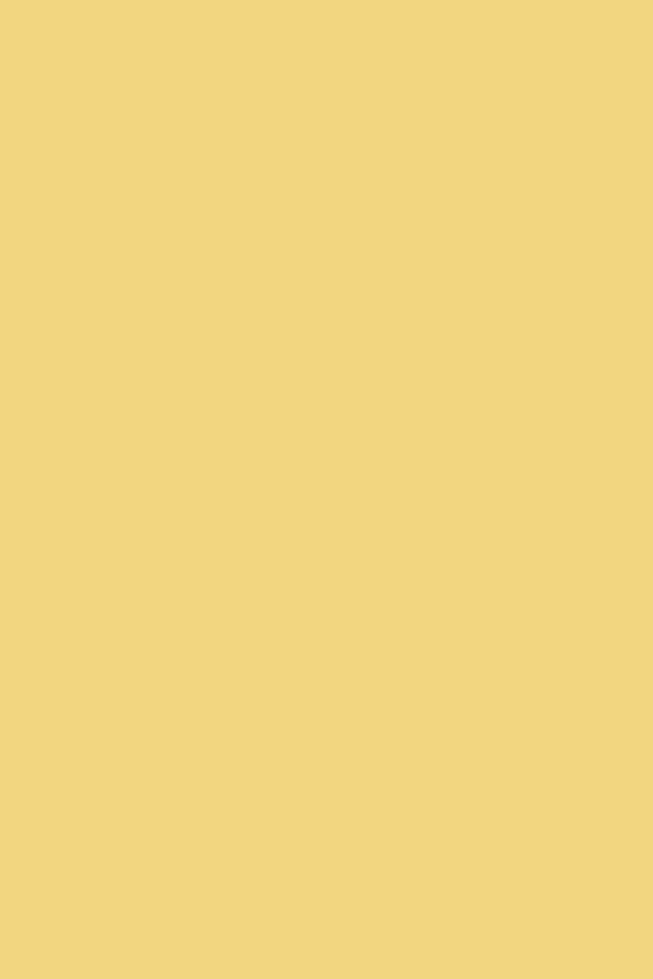 Mustard Made US · The Collector in Butter | socius design in Rochester, MN