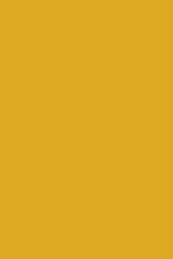 Mustard Made US · The Collector in Mustard | socius design in Rochester, MN