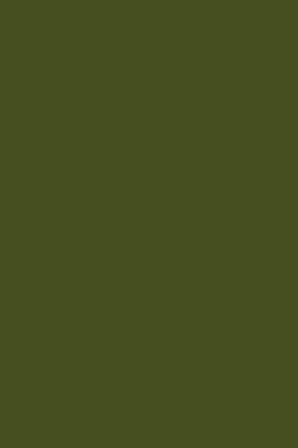 Mustard Made US · The Kit in Olive | socius design in Rochester, MN