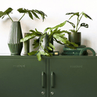 Mustard Made · The Lowdown in Olive | socius design in Rochester, MN