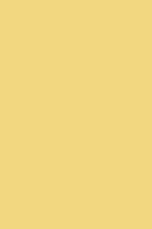 Mustard Made · The Twinny in Butter | socius design in Rochester, MN