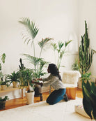gestalten · The World's Best Shops | socius design in Rochester, MN