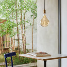 Tala US · Voronoi II E26 LED Bulb | socius design in Rochester, MN