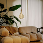 Tala US · Voronoi II E26 LED Bulb | socius design in Rochester, MN